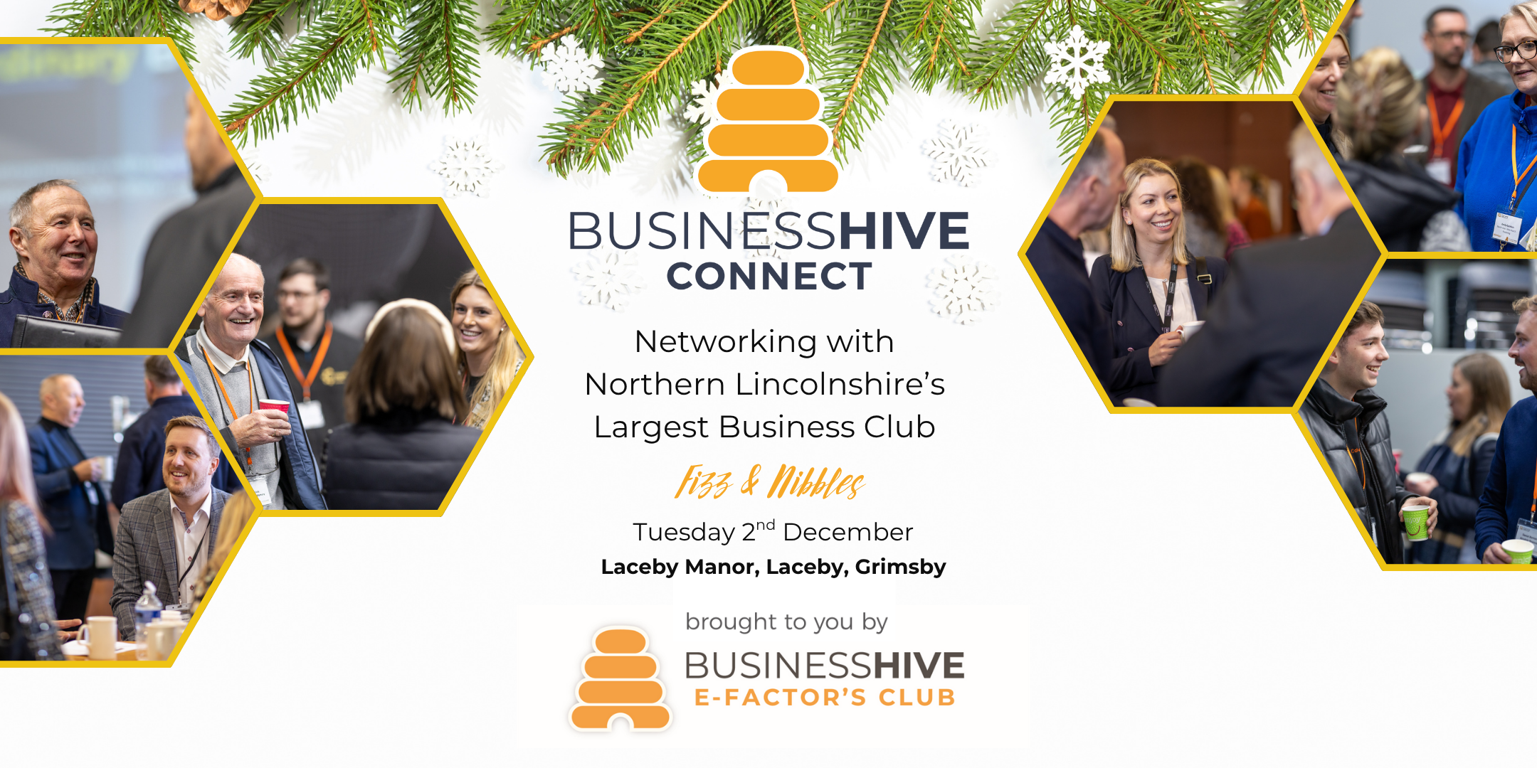 Promotional image for Business Hive Connect Members Only Event featuring networking scenes, logo, event details, festive pine decor at the top, plus Fizz & Nibbles to enjoy.